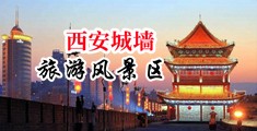 肏处女护士无毛屄,中国陕西-西安城墙旅游风景区